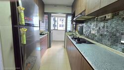 Blk 335B Anchorvale Cove (Sengkang), HDB 4 Rooms #620214121